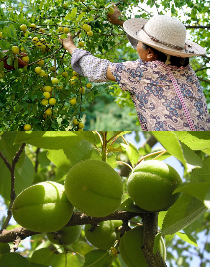 1694253564430171.png 微信图片_202209021934334.png