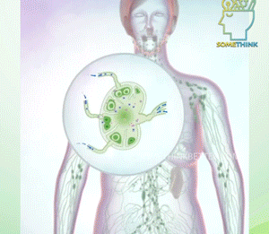 1697807756762051.gif 11.gif