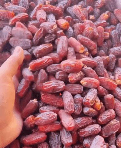 1697808569274584.gif 15.gif