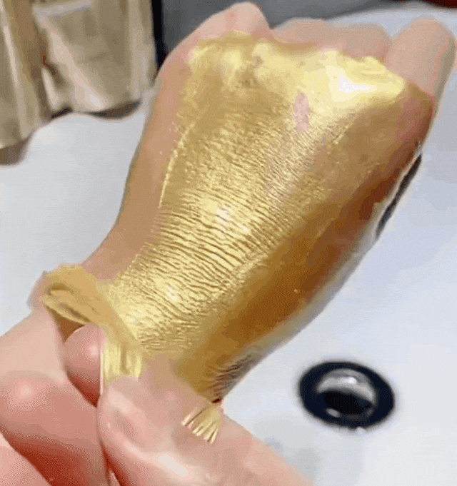 1713942880221613.gif 2.gif