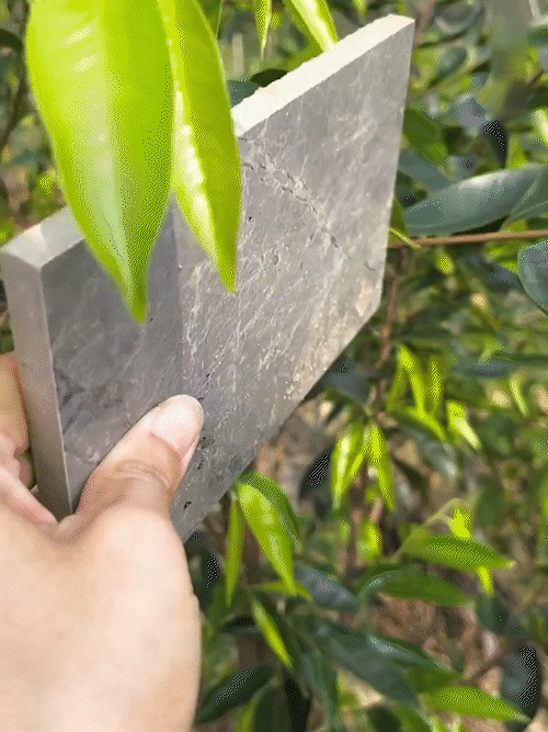 德國精鋼快開折疊刀 火爆熱銷中! 輕便多用,隨身攜帶,助您應對各種情況!折疊刀是壹種便攜式多功能刀具! 德國精鋼快開折疊刀 火爆熱銷中! 輕便多用,隨身攜帶,助您應對各種情況!折疊刀是壹種便攜式多功能刀具!