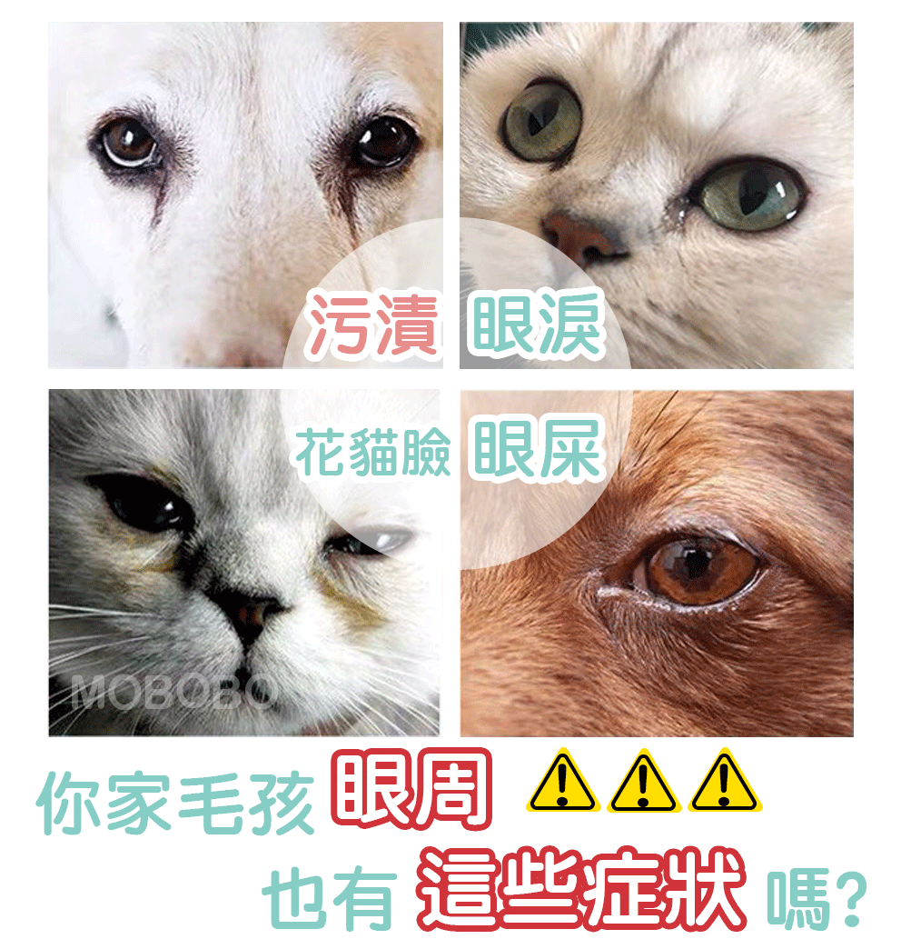 1716116176687659.gif 1.gif