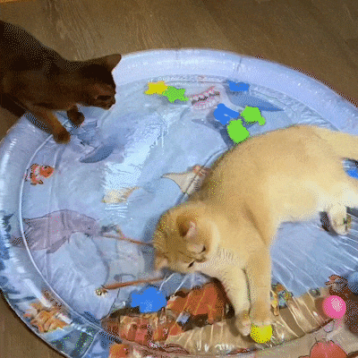 1718695403659682.gif 1.gif