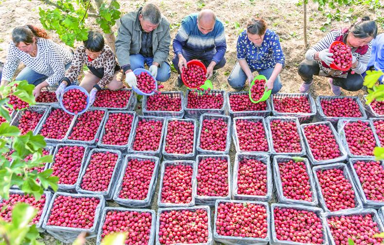 1719047547902196.jpg 3.jpg