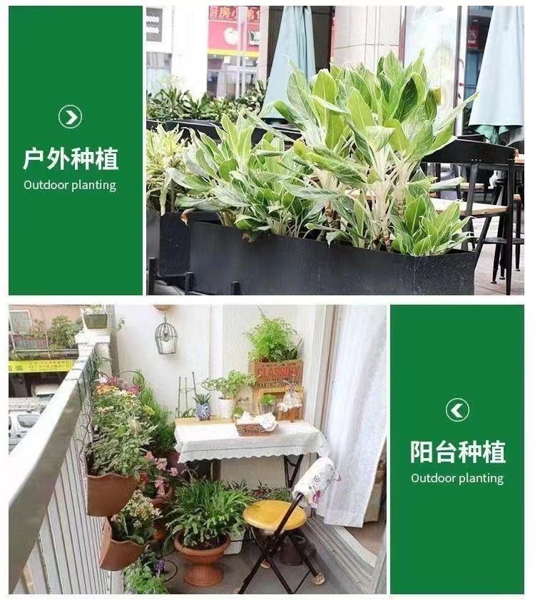 1727998846570972.jpg 82895e530e0a4caca15ad28253d5c0f3_20240929204845_401.jpg