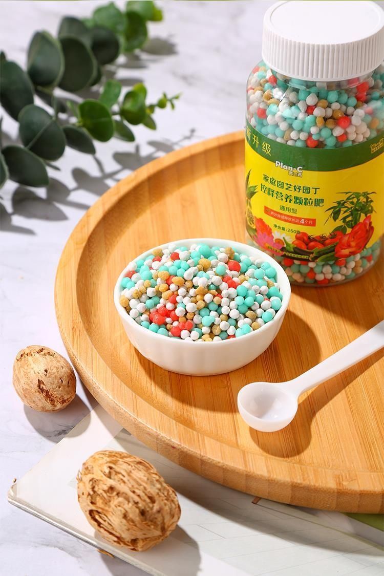 1727998894273888.jpg 1d8c9c42a5ce4d9fb2c9d071a899f4db_20240929204846_363.jpg