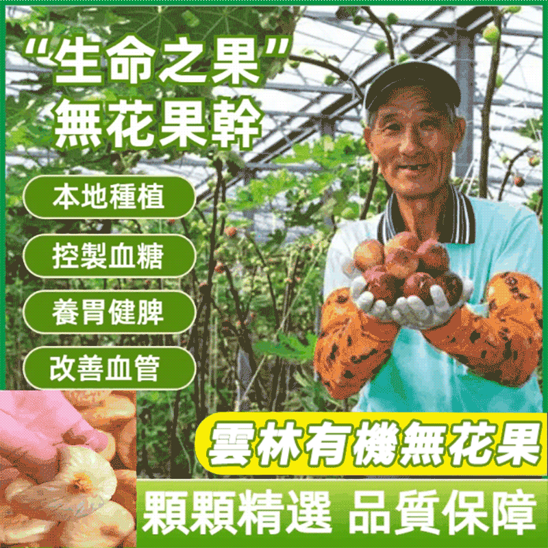 【台灣雲林頂級無花果乾】天然有機果王！  美容養顏、改善便秘、清熱生津、强健體質  抗癌抗瘤、降脂降壓、預防三高等多種功效